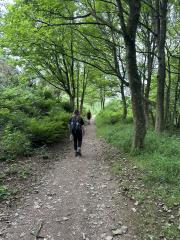Heading down from Ravenscar
